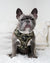 Classic No-Pull Dog Harness - Green Camo