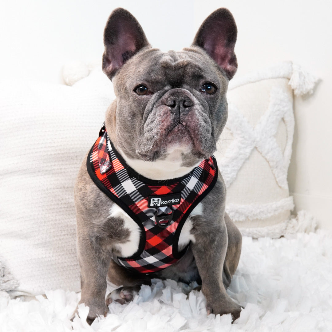 Adjustable Dog Harness - Red Plaid