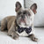 Dog Bow Tie - Terrazzo (Final Sale)